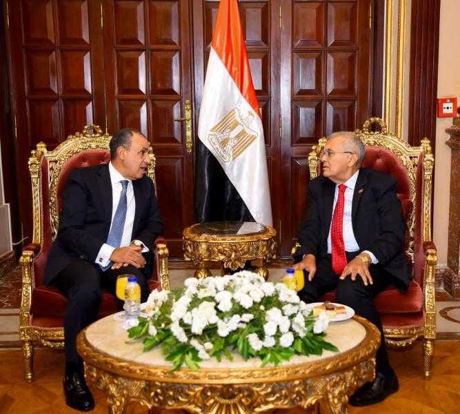 وزير الخارجية يلتقي رئيس مجلس الشيوخ