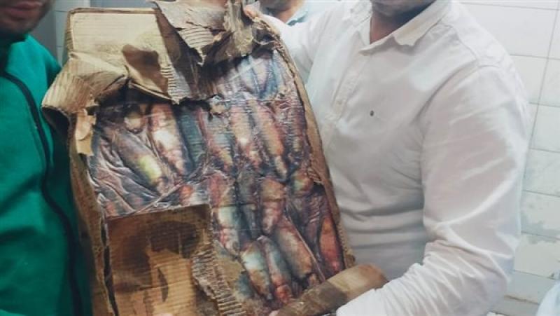 حملات بيطرية بالقليوبية