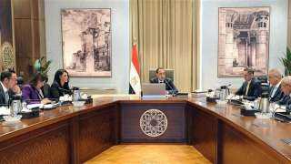 رئيس الوزراء يستعرض الهيكل التنظيمي لوحدة إعادة هيكلة الشركات المملوكة للدولة