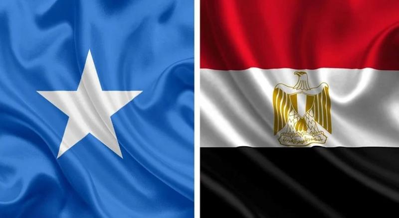 جمهورية الصومال تشكر مصر على دعمها لسيادة ووحدة أراضيها