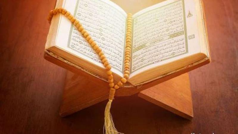 ديلسي رودريجيز