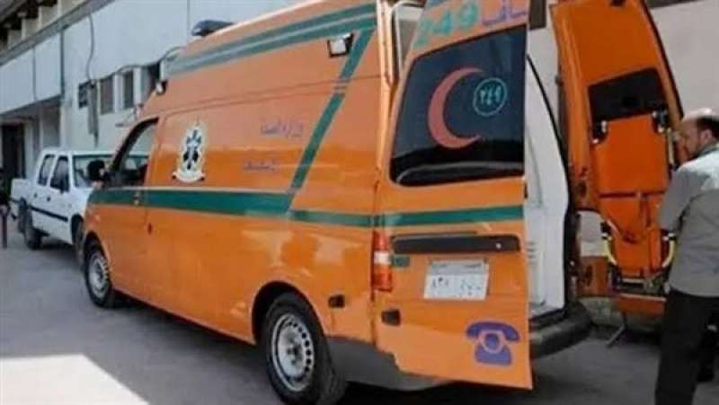 الجارديان المصرية