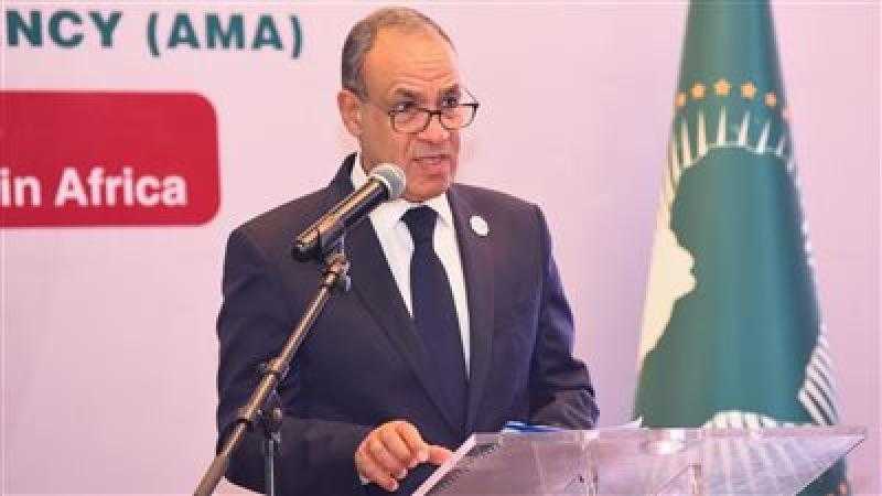 وزير الخارجية يطرح رؤية مصر الشاملة لتعزيز التصنيع الدوائي والأمن الصحي في أفريقيا