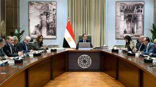 رئيس الوزراء يتابع الموقف التنفيذي لعدد من المشروعات الخدمية والتنموية بالقاهرة