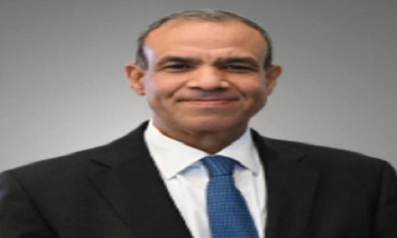 بدر عبدالعاطي وزير الخارجية