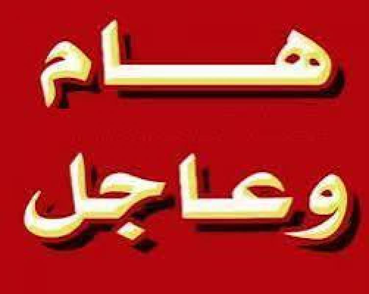 الجارديان المصرية