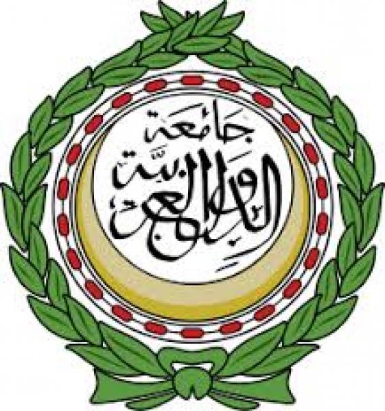 جامعة الدول العربية 