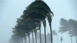 أمطار ورياح تضرب الآن مناطق من القاهرة الجديدة