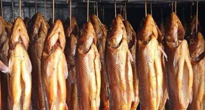 ضبط رنجة غير صالحة للاستهلاك الآدمى في شبرا الخيمة