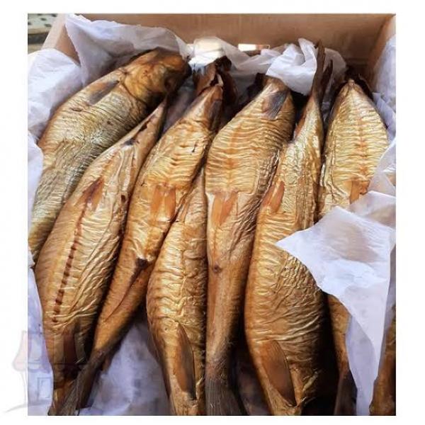 رنجة ارشيفية