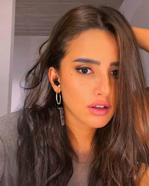 الفنانه زينة 