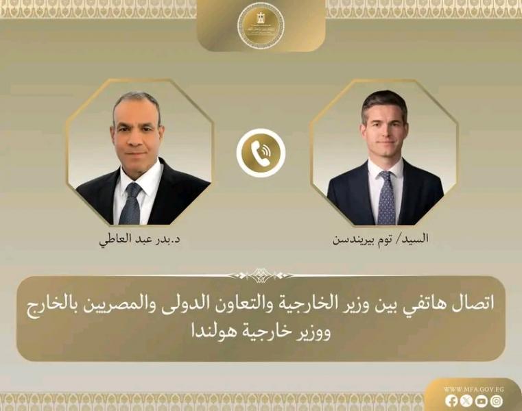 الجارديان المصرية