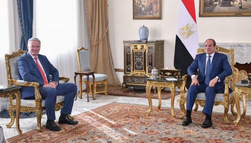 الرئيس السيسى والأمين العام لمنظمة التعاون الاقتصادي والتنمية 