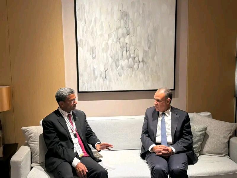 وزيرا خارجية مصر وسيشل