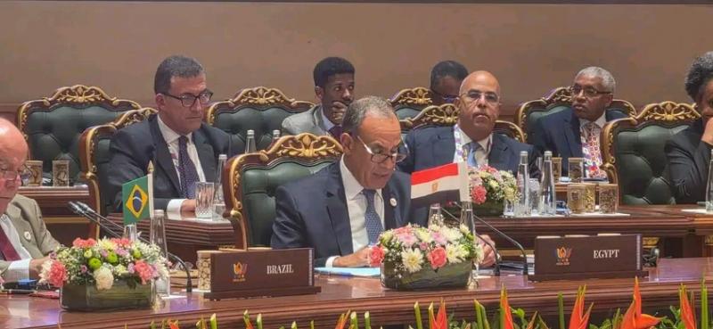 وزير الخارجية خلال اجتماع وزراء خارجية دول البريكس