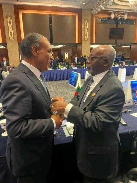 وزير الخارجية يلتقي نظيره الكاميروني لبحث تعزيز العلاقات الثنائية والتنسيق بشأن القضايا الأفريقية