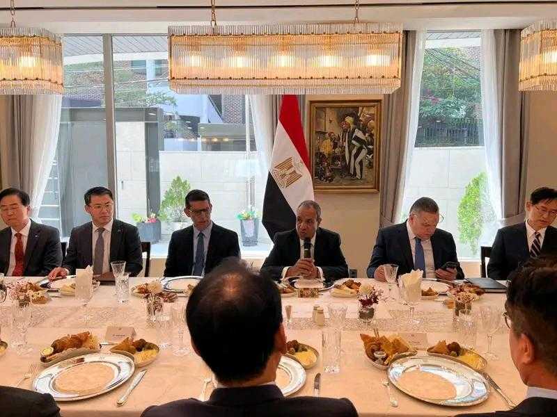 وزير الخارجية يلتقي ممثلي كبرى الشركات الكورية لبحث تعزيز الاستثمارات الكورية في مصر