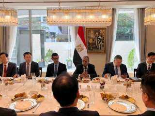 وزير الخارجية يلتقي ممثلي كبرى الشركات الكورية لبحث تعزيز الاستثمارات الكورية في مصر