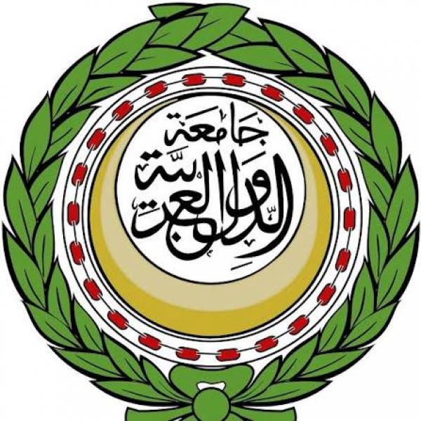 الجارديان المصرية