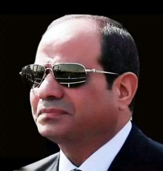 الرئيس السيسى 