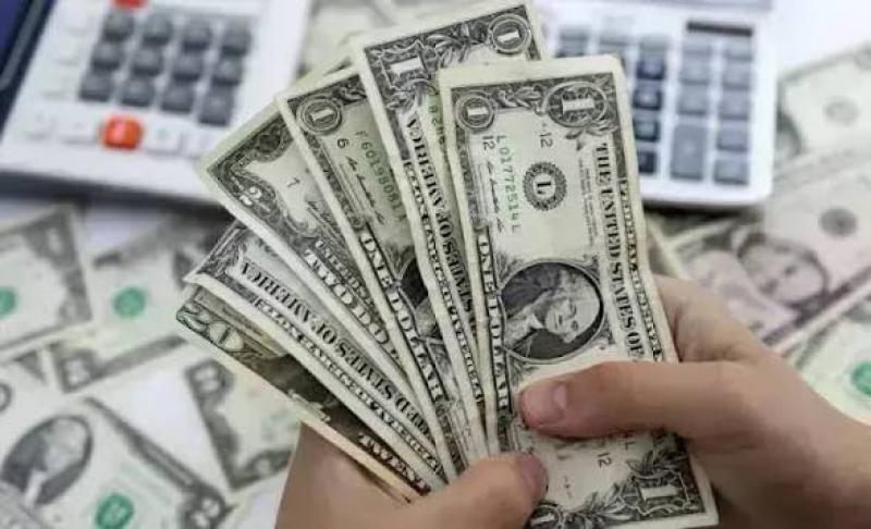 سعر الدولار اليوم 