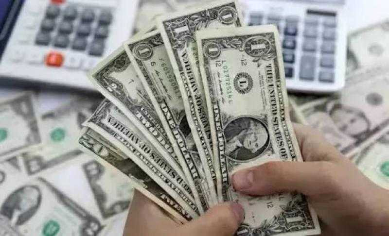 استقرار سعر الدولار أمام الجنيه المصري اليوم
