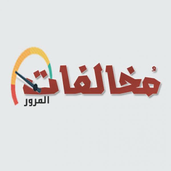 الجارديان المصرية