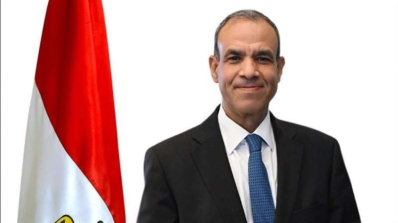 د. بدر عبد العاطى  وزير الخارجية 
