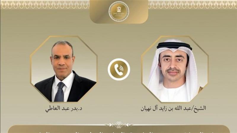 وزيرا خارجية مصر والإمارات