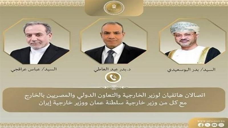 الجارديان المصرية