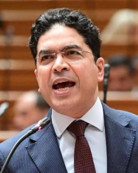  النائب ضياء الدين داود 