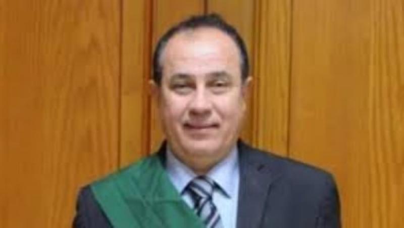 المستشار وجدى عبد المنعم