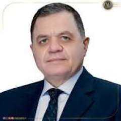 وزير الداخلية يرد الجنسية المصرية لـ 14 شخصًا| مستند وزير الداخلية يرد الجنسية المصرية لـ 14 شخصًا| مستند