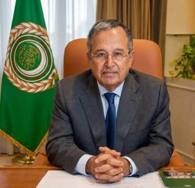 السفير نبيل فهمي