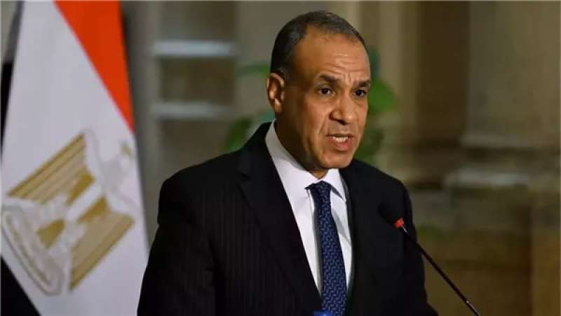 وزير الخارجية بدر عبد العاطي