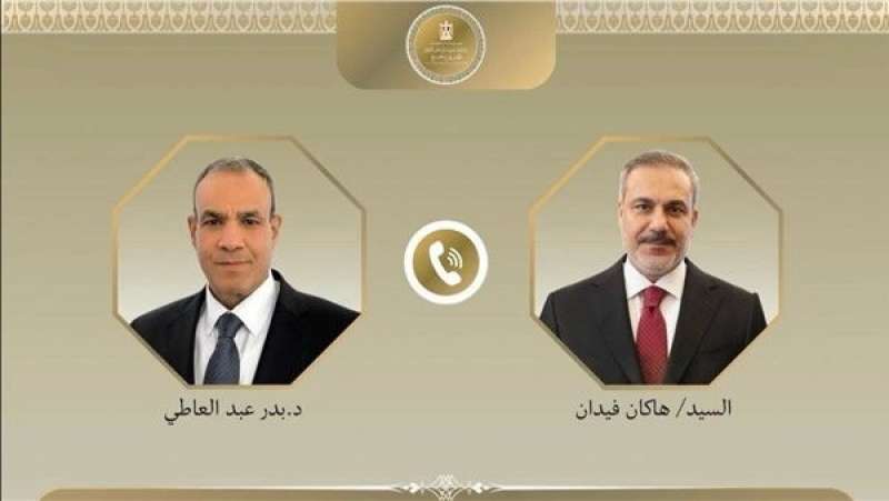 وزيرا خارجية مصر وتركيا