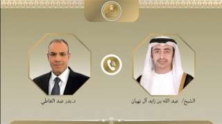 وزير الخارجية ونظيره الإماراتي يبحثان مستجدات الأوضاع في هرمز وباب المندب وزير الخارجية ونظيره الإماراتي يبحثان مستجدات الأوضاع في هرمز وباب المندب