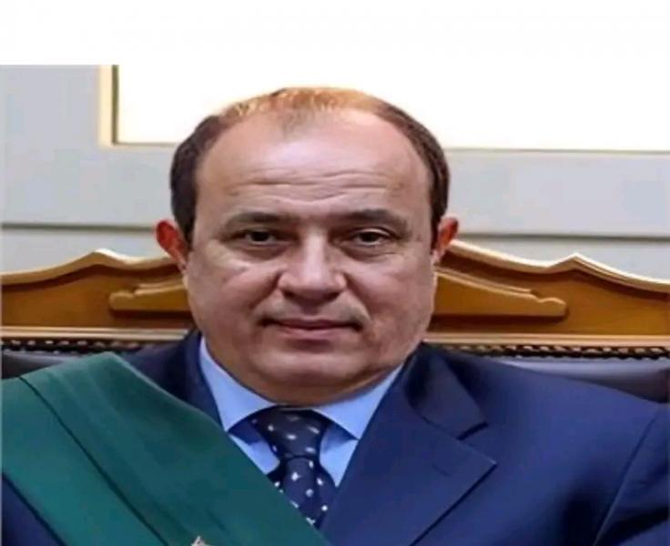 المستشار وجدى عبدالمنعم 
