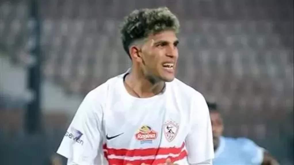 محمد السيد