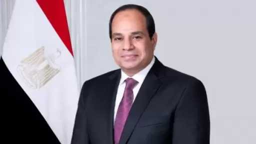 الرئيس السيسي: إعلان العلمين يؤكد أهمية دور نيباد في تنمية أفريقيا وتنفيذ أجندة 2063
