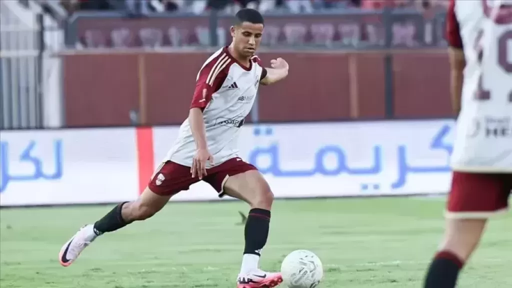 رضا سليم