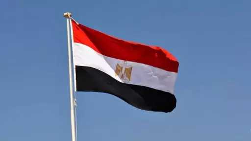 مصر تعزي نيجيريا في ضحايا تحطم طائرة عسكرية