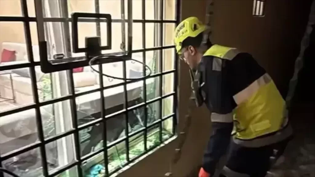موضوعية 