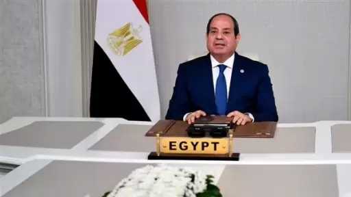 السيسي: هناك مخاطر على حدود مصر الجنوبية والغربية وبذلنا كل الجهد لتجنب وقوع نزاع بالسودان