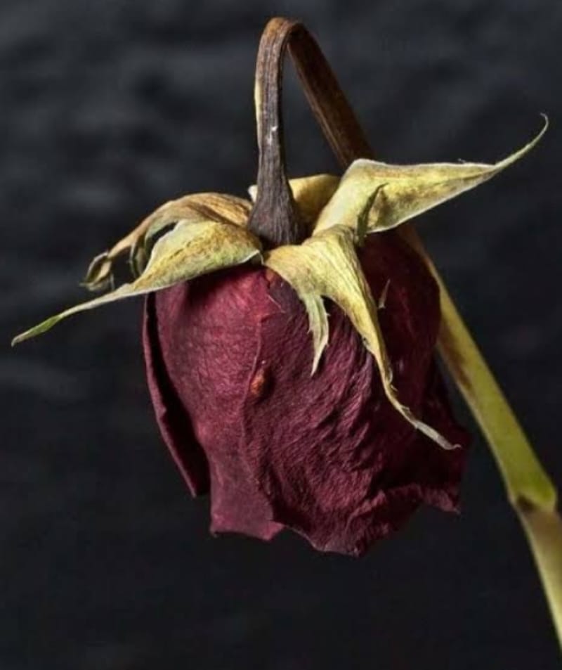6975a5d61011.jpg